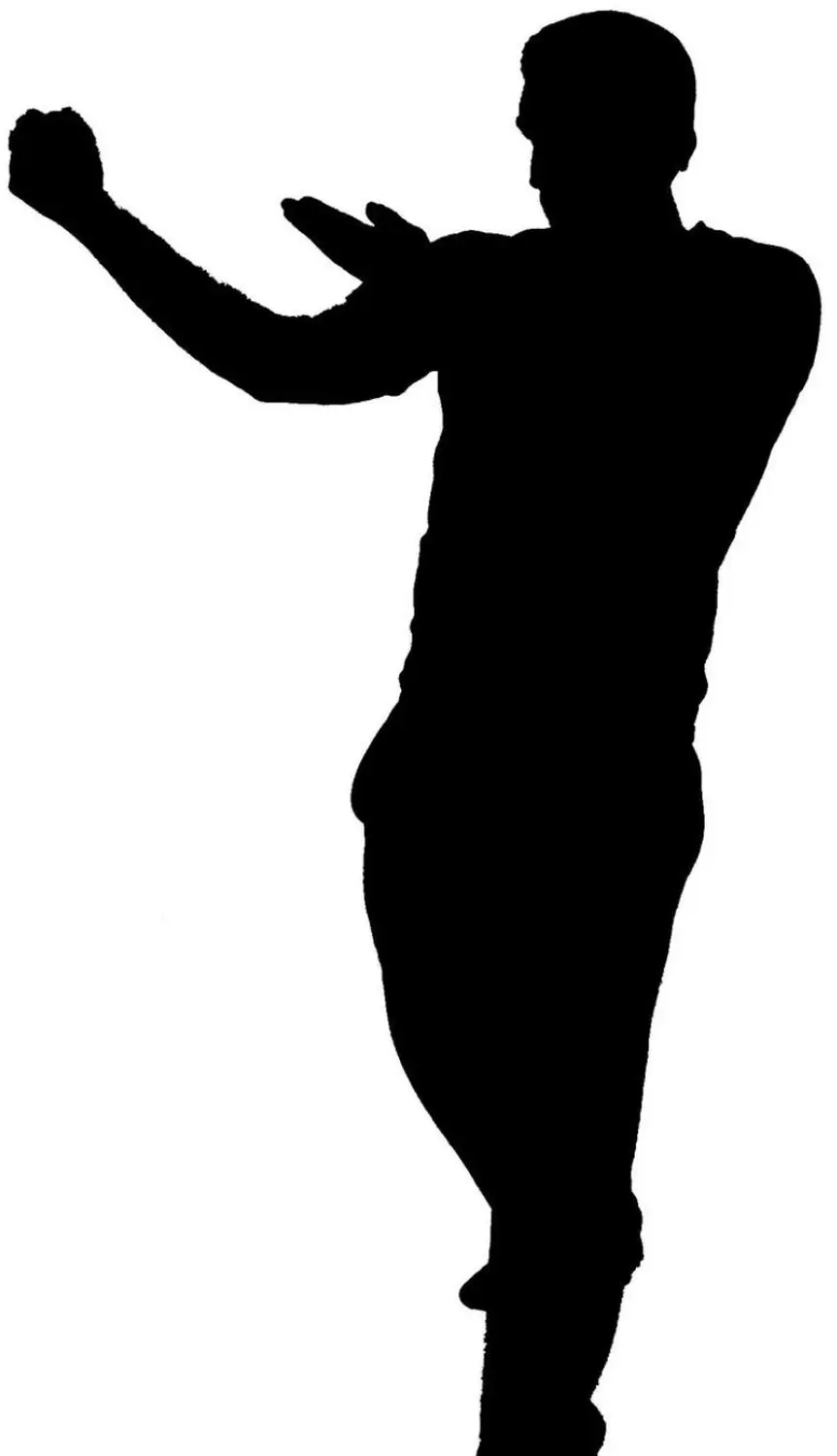 Wing Tsun - Silhouette eines Mannes, der Wing Chun Tan Sao Faust macht