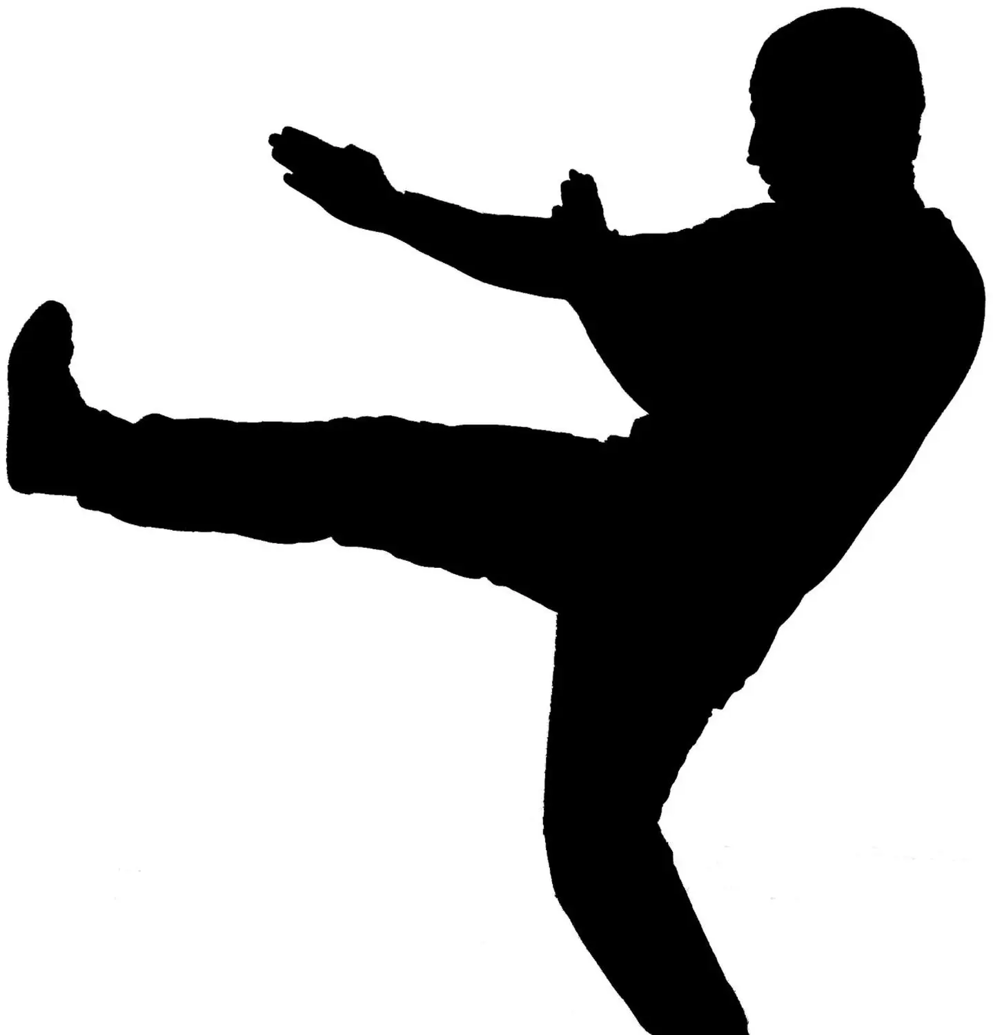 die Silhouette einer Person, die einen hohen Tritt ausführt